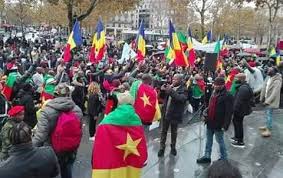 Diaspora camerounaise